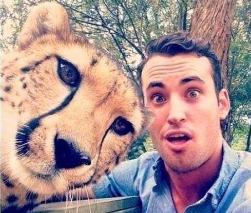 Sosyal medya bu çılgın selfie'ler ile sallandı