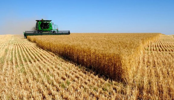 Ekim ayında tarımdaki ÜFE  artış gösterdi