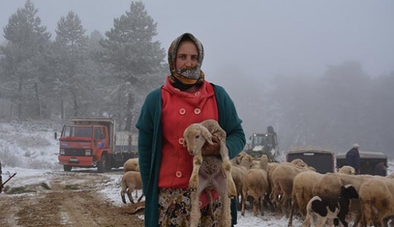 Karda sürüsüyle beraber mahsur kalan çobanlar kurtarıldı
