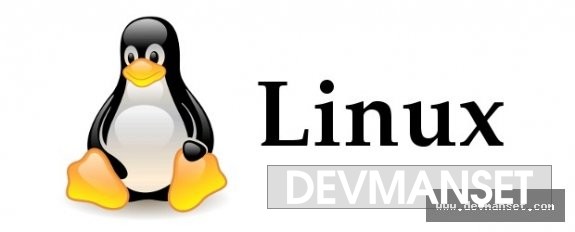 Güney Kore Linux'a geçiş yapmaya hazırlanmakta