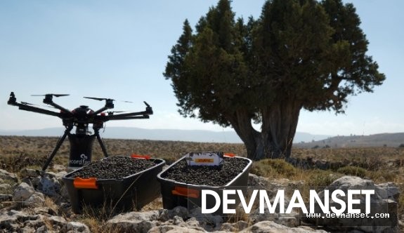 DHL Ormanı için son tohumlamayı drone ile yaptılar