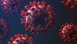 Avrupa koronavirüse karşı ulusal karantinaya geçti