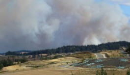 Yeni Zelanda içerisindeki orman yangınları bir türlü durdurulamamakta
