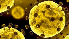 Coronavirüs Çin'de 2444 can aldı
