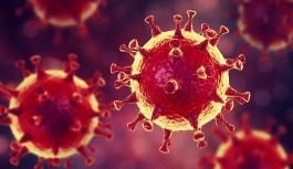 Trabzon ilinde koronavirüs vakaları artış göstermeye başladı