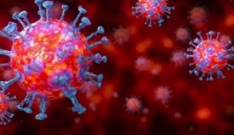 Koronavirüsün mevsimsel olmadığı açıklandı